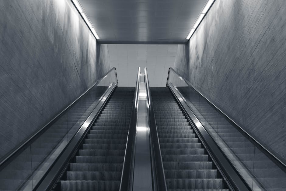 A photograph shows a modern indoor staircase with two parallel escalators, one for ascending and one for descending, situated within a hallway. The escalators are constructed with dark, ribbed steps and sleek metal handrails on both sides, supported by glass panels. The surrounding walls are covered with smooth, dark-based textured material, and the ceiling above features a linear, recessed lighting fixture that provides bright, even illumination. The escalators are positioned inside a building, leading to an upper level, which is visible through the white tiled wall at the top of the staircase. This setting is typically encountered in commercial or office buildings, and the image subtly relates to the themes of movement and access during home relocation or furniture transport processes, as observed by professional removal services like Man with Van Harrow, who often manage such infrastructure for efficient property access during removals.